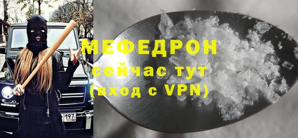 прущие грибы Гвардейск